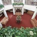 Image of Cypress Woods - Sky Active Living (2)