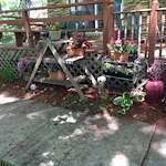 Image of Collier Care Home (2)