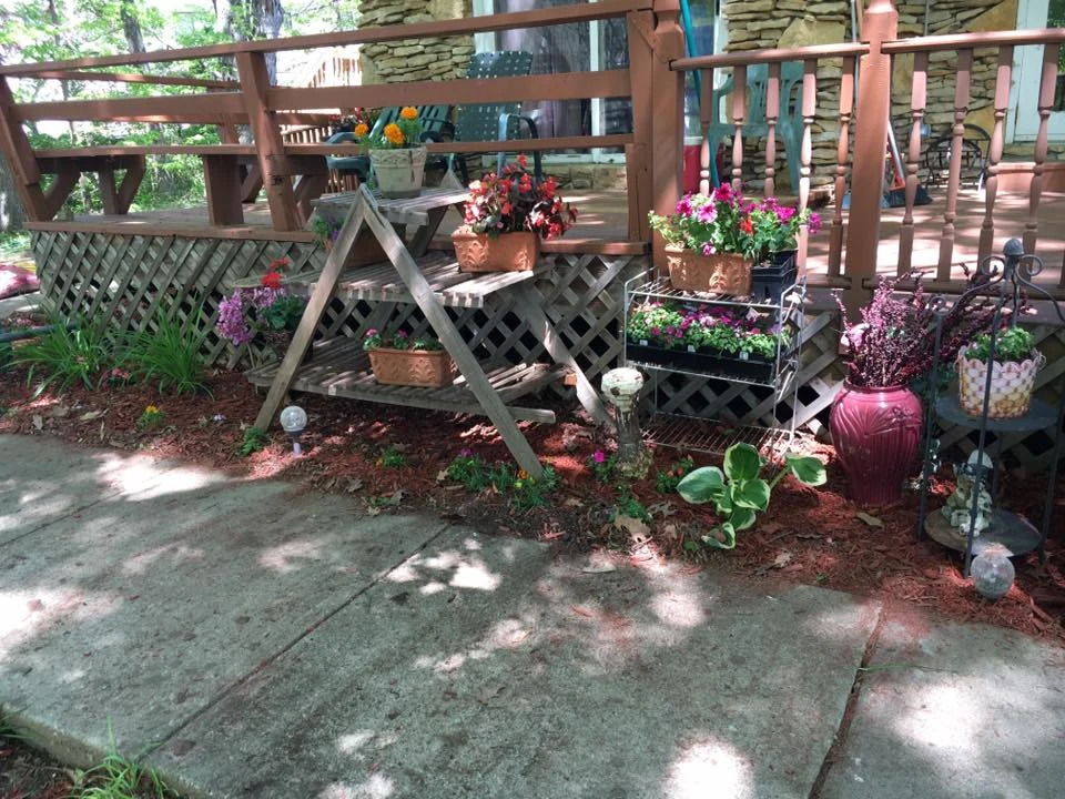 Image of Collier Care Home (2)