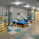 Image of Elderwood Of Scallop Shell At Wakefield (5)