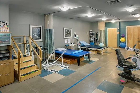 Image of Elderwood Of Scallop Shell At Wakefield (5)