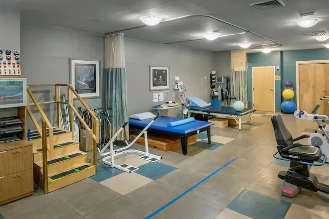 Image of Elderwood Of Scallop Shell At Wakefield (5)