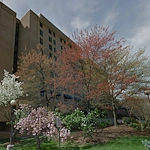 Image of Cogir of Alexandria (1)