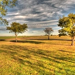 Image of BeeHive Homes of Floydada (7)