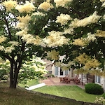 Image of Oaknoll Retirement Residence (2)