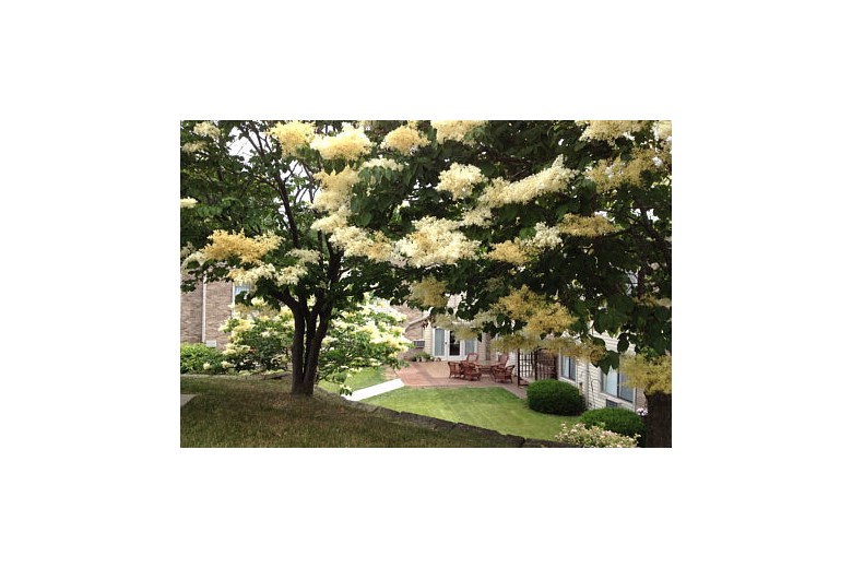 Image of Oaknoll Retirement Residence (2)