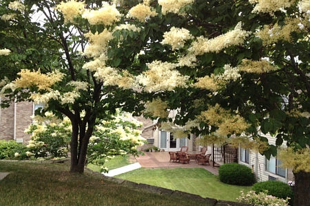 Image of Oaknoll Retirement Residence (2)