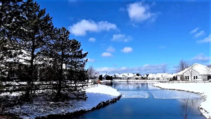 Image of Wesleyan Meadows (8)