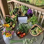 Image of Fanno Creek - Elite Care (4)