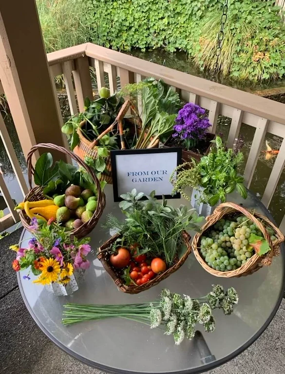 Image of Fanno Creek - Elite Care (4)