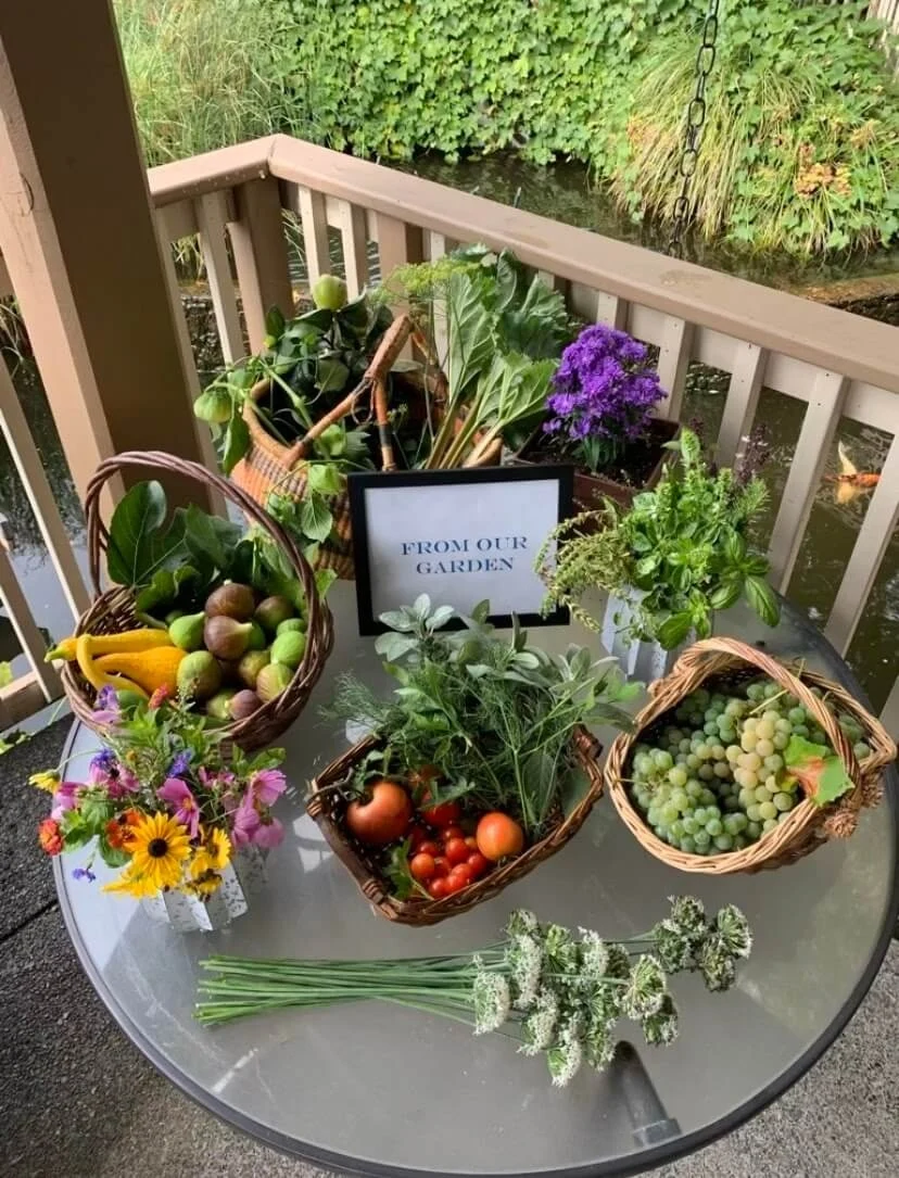 Image of Fanno Creek - Elite Care (4)