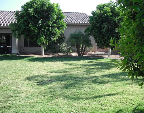 Image of Ambiance Assisted Living (4)