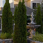 Image of Atria Summit Ridge (3)