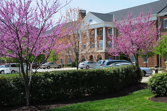 Image of The Chesapeake Senior Living (4)