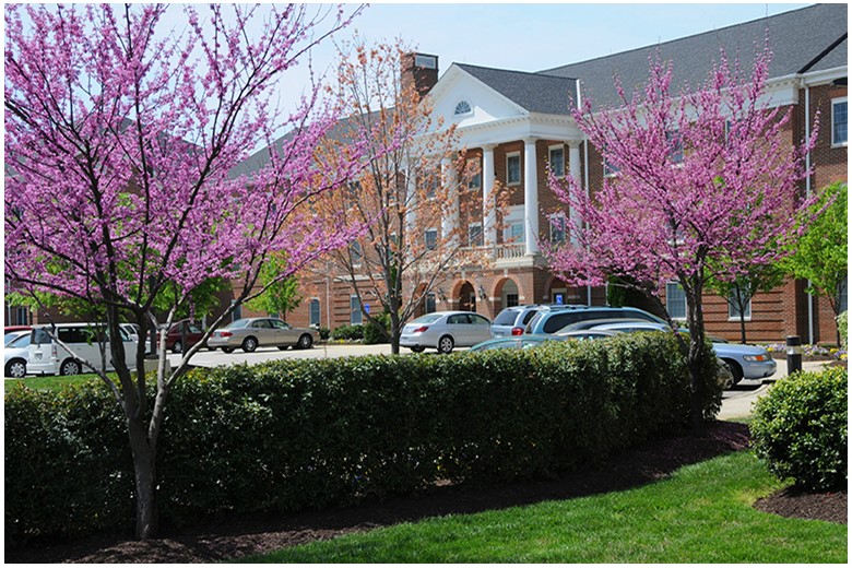 Image of The Chesapeake Senior Living (4)