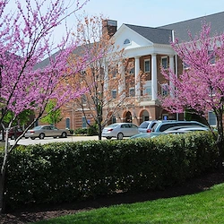 Image of The Chesapeake Senior Living (4)