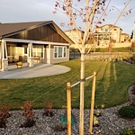 Image of BeeHive Homes of Parker (6)
