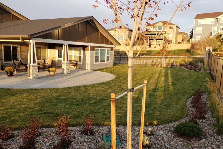 Image of BeeHive Homes of Parker (6)