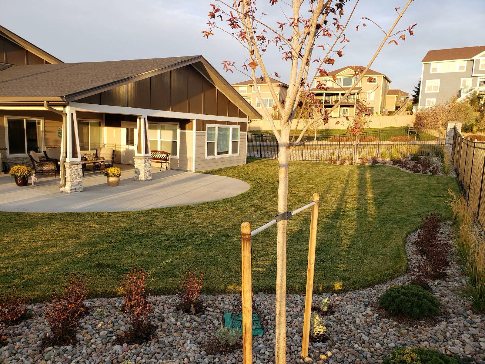 Image of BeeHive Homes of Parker (6)