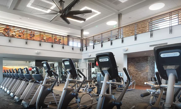 Image of Sun City Festival (4)