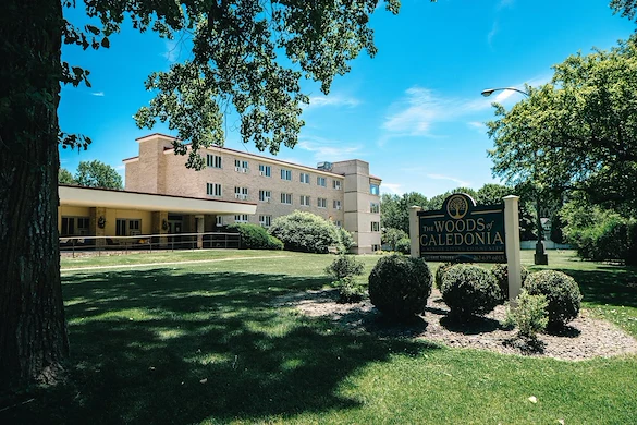 Image of Woods of Caledonia (1)