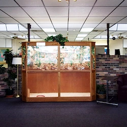 Image of Rib Lake Health Services (2)