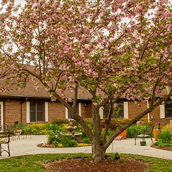 Image of Smithfield Assisted Living (2)