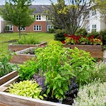 Image of Eliza at Chagrin Falls Assisted Living (5)