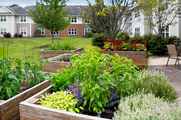 Image of Eliza at Chagrin Falls Assisted Living (5)