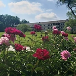 McGregor Assisted Living Courtyard