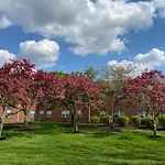 Image of Wyndmoor of Castleton (10)