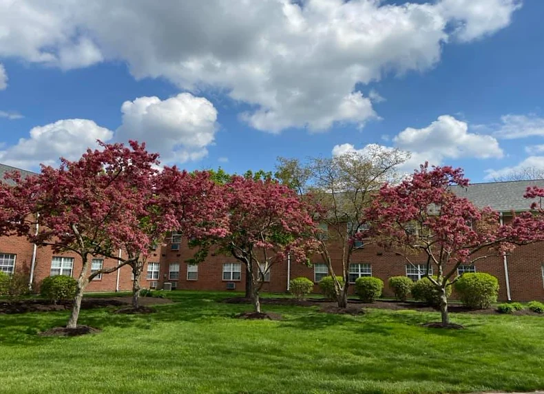 Image of Wyndmoor of Castleton (10)