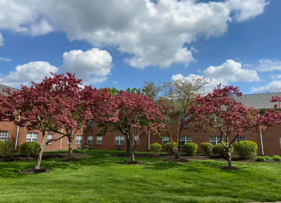 Image of Wyndmoor of Castleton (10)