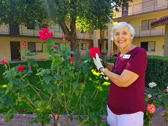 Volunteer pruning roses