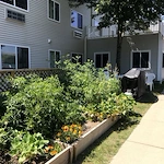 Image of Ahepa 245 II Senior Apartments (7)