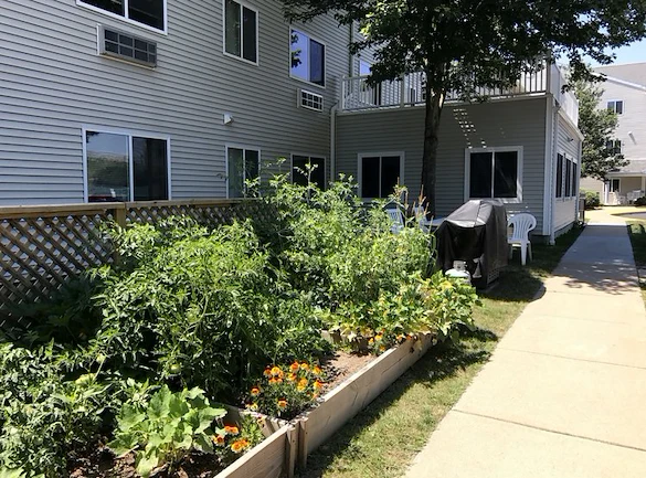 Image of Ahepa 245 II Senior Apartments (7)