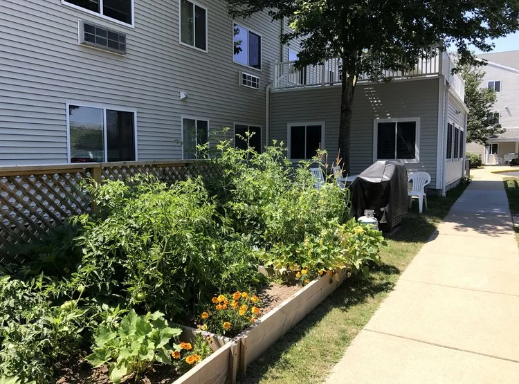 Image of Ahepa 245 II Senior Apartments (7)