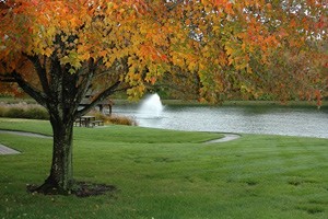 Image of Village North Retirement Community (8)