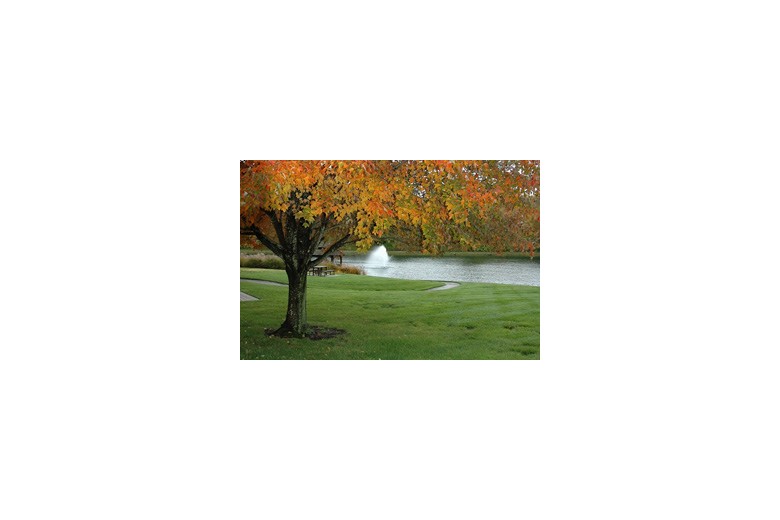 Image of Village North Retirement Community (8)