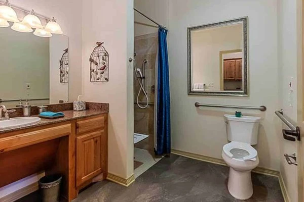 Image of Vitality Court Texas Star (8)