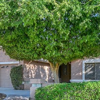 Image of Salter Springs Assisted Living (1)