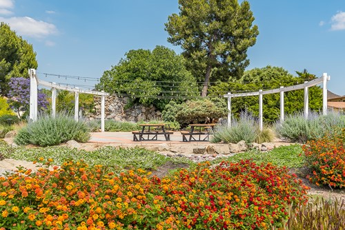 Image of Sun City Gardens (10)