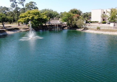 Image of Lely Palms - A ProMedica Senior Living Community (5)
