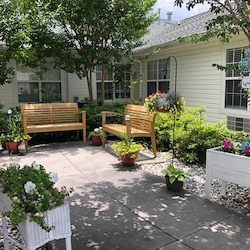 Image of Pee Dee Gardens (3)