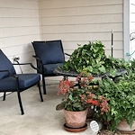 Image of Solstice Senior Living at Corpus Christi (5)