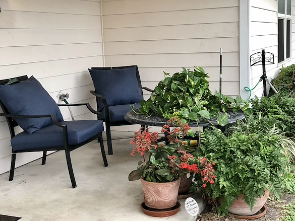 Image of Solstice Senior Living at Corpus Christi (5)