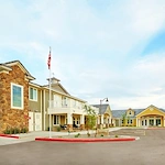 Image of American Orchards (1)