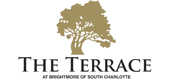 Image of The Terrace at Brightmore of South Charlotte (1)