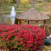 Image of Meadowood Retirement Community (3)