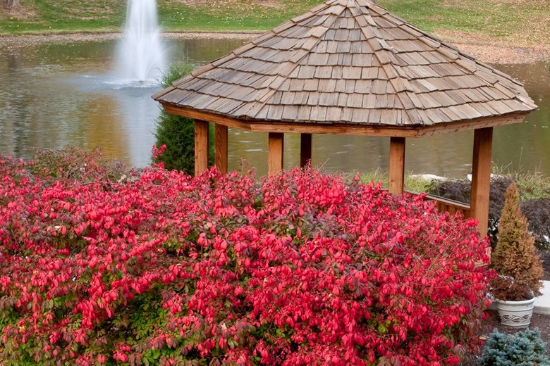 Image of Meadowood Retirement Community (3)